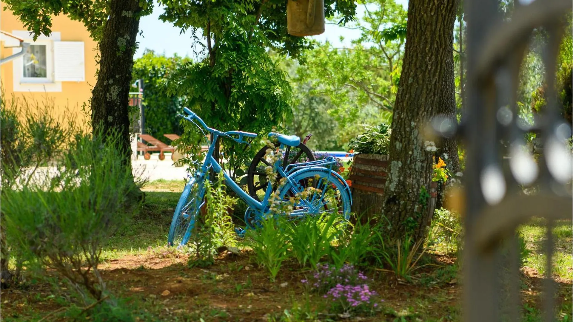 Pet Friendly Home In Stokovci Croatia